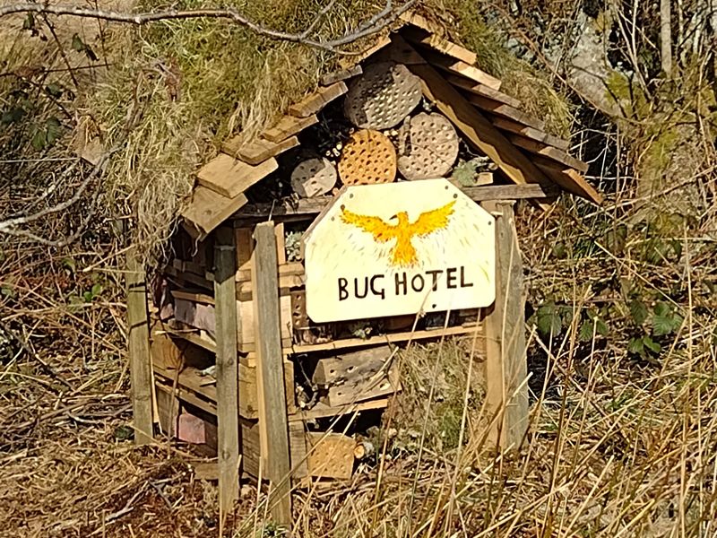 Summer Kids: Insect Hotel Building