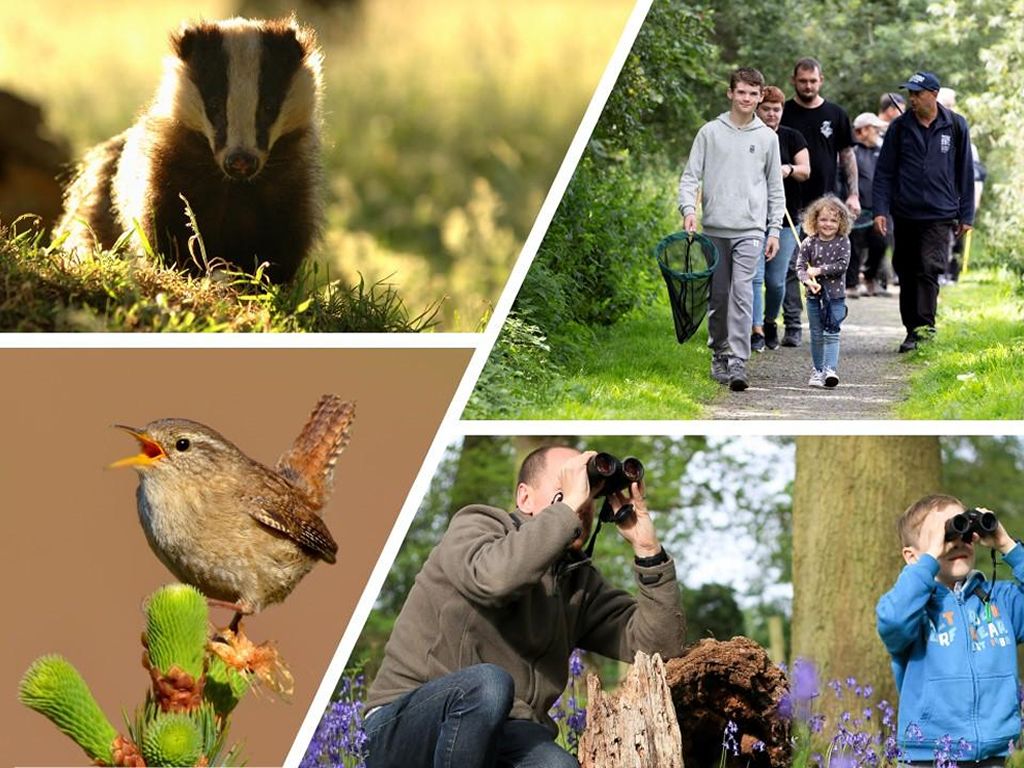 Biodiversity Bonanza at Falls of Clyde