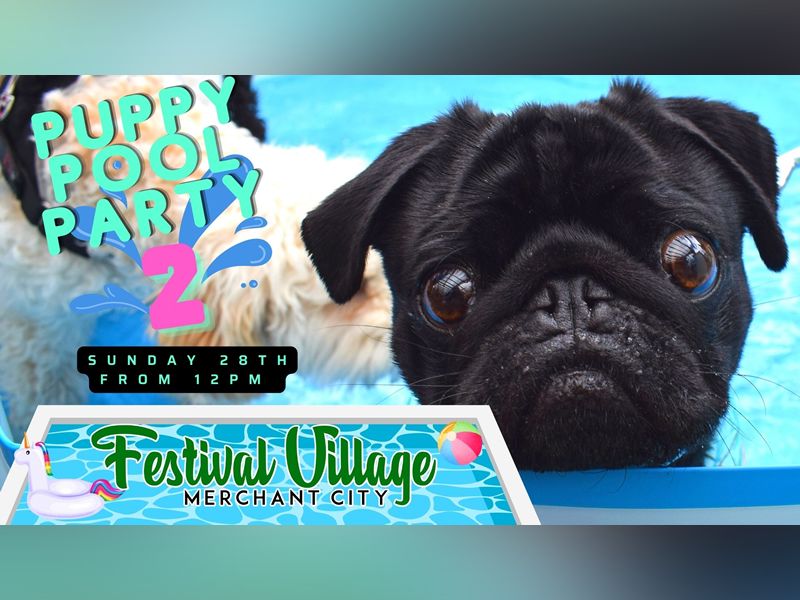 Puppy Pool Party at Festival Village: Merchant City