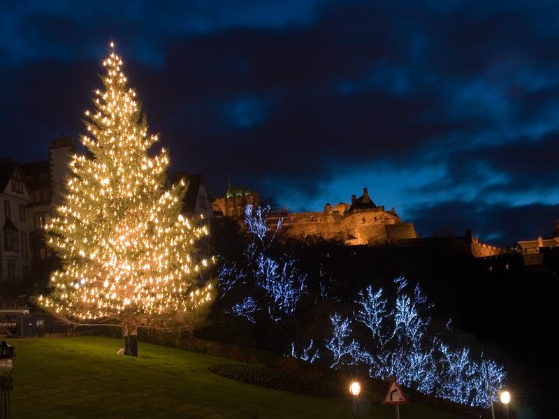 Scottish grown Christmas tree installation on Saturday 8th of November at The Edinburgh Mound 