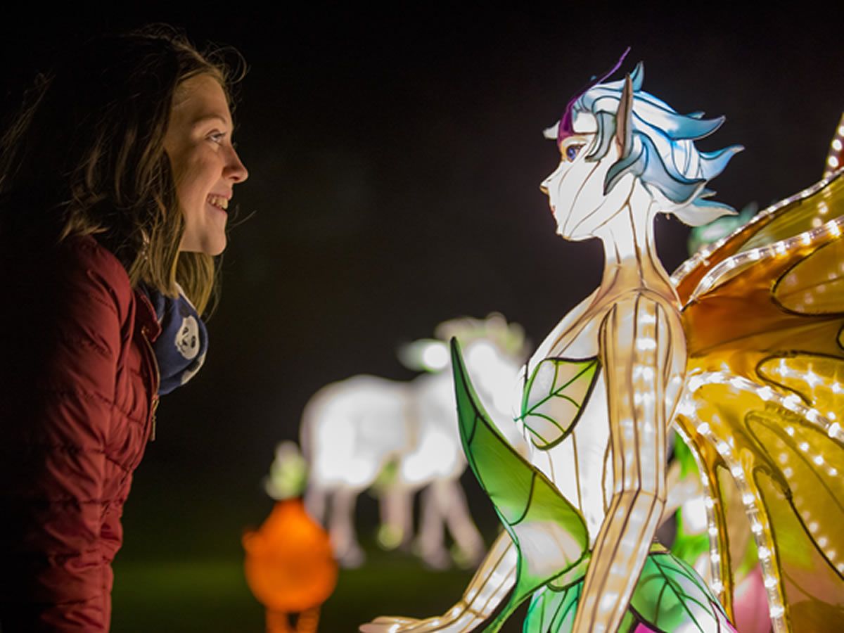Giant Lanterns to make long awaited return to Edinburgh Zoo