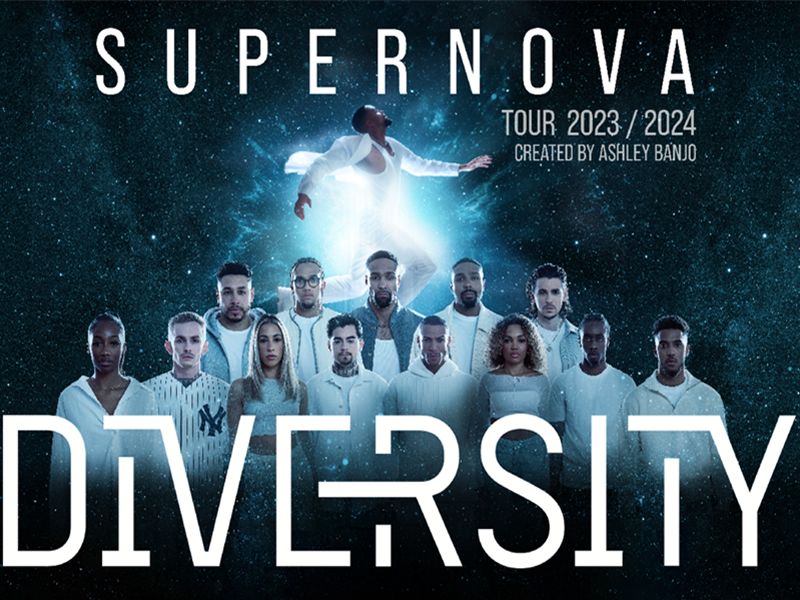 Diversity: Supernova