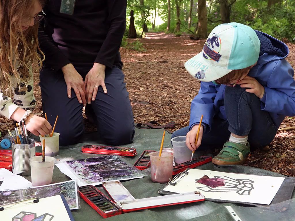 Summer Woodland Explorers