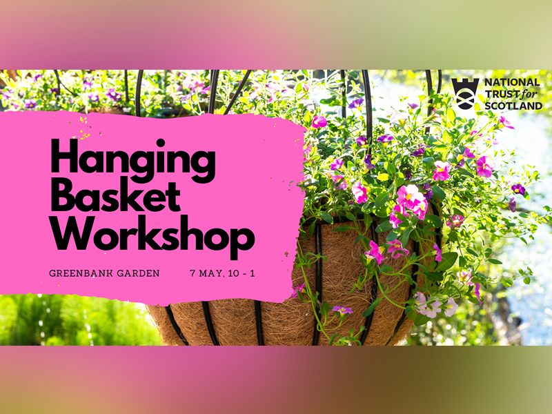 Create Your Own: Hanging Basket Workshop