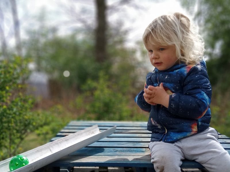 Greenbank Woodland Play