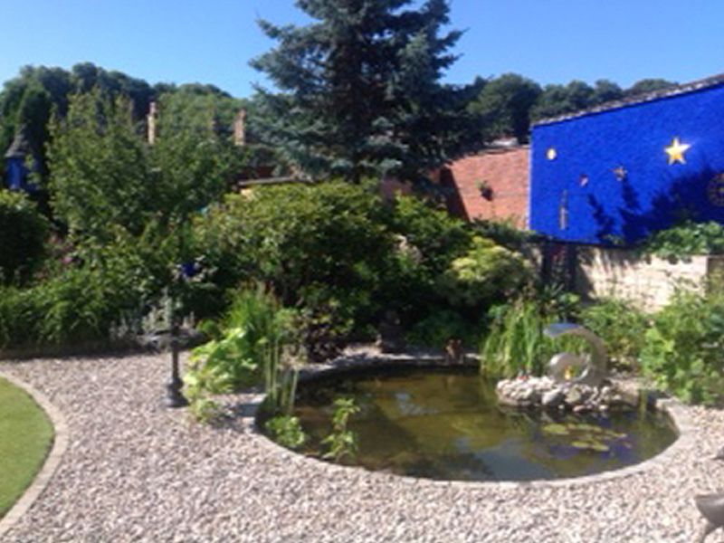 Scotland’s Gardens Scheme Open Garden: 19 Gardiner Road