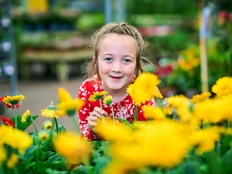 Dobbies search for Best Young Gardener in Britain News What's On