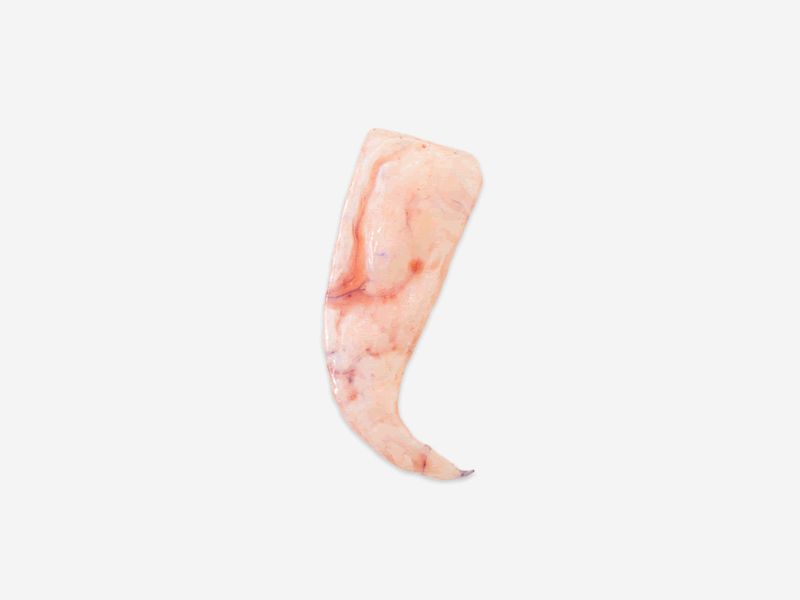 I wear my wounds on my tongue (ii)
