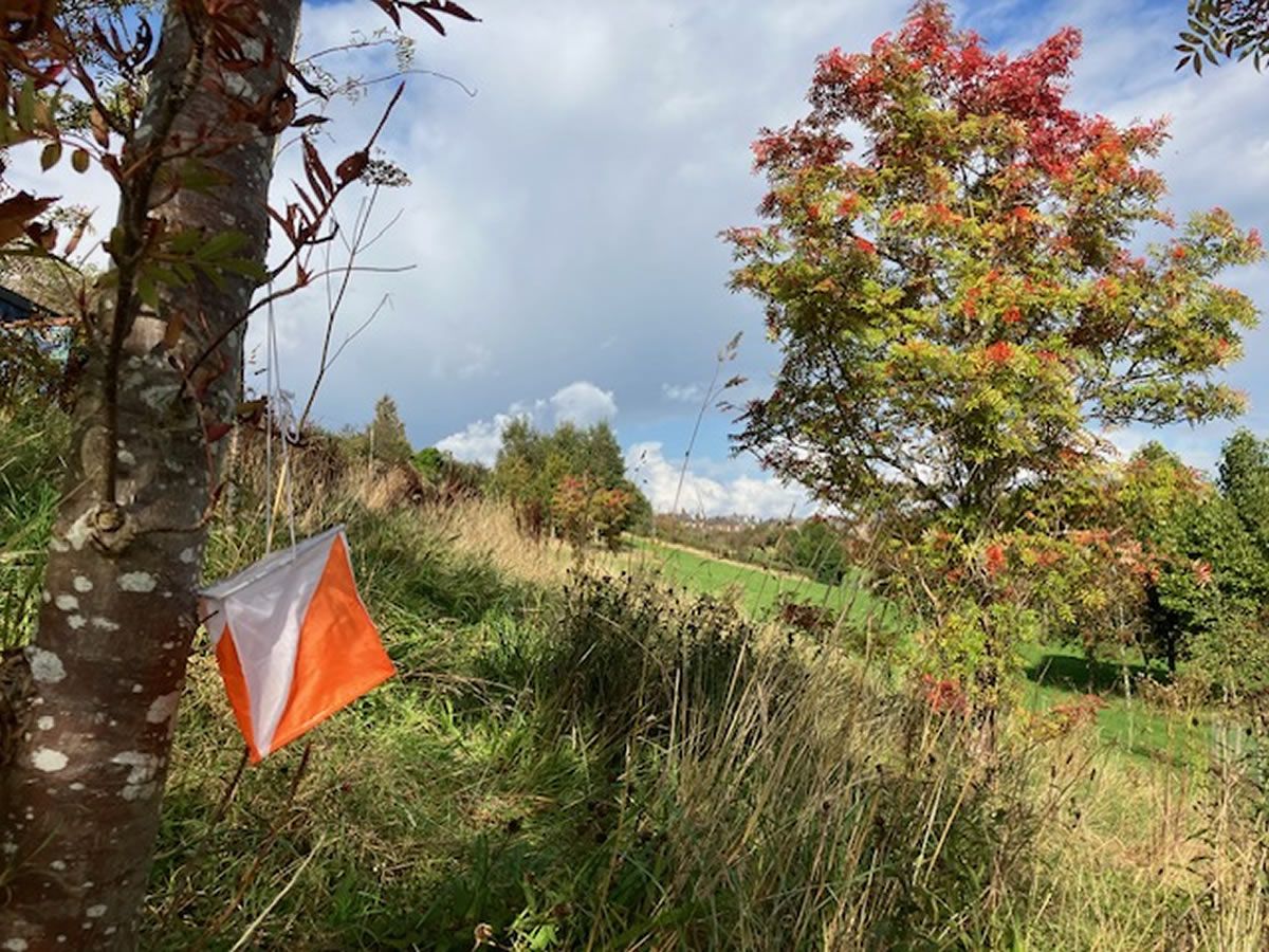 Orienteering at Braidburn Valley Park, South Edinburgh