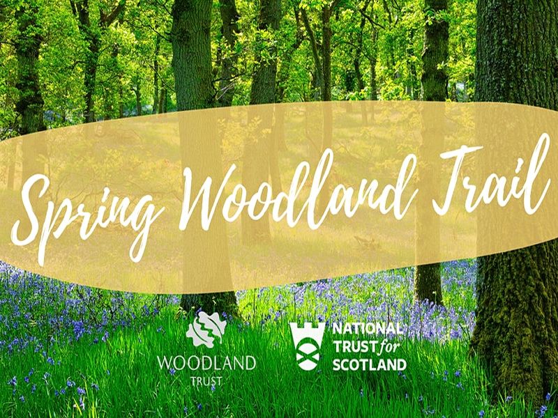 Spring Woodland Trail at Greenbank