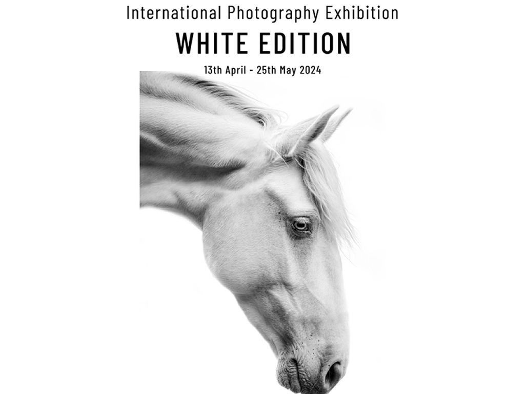 White Edition: International Photography Exhibition