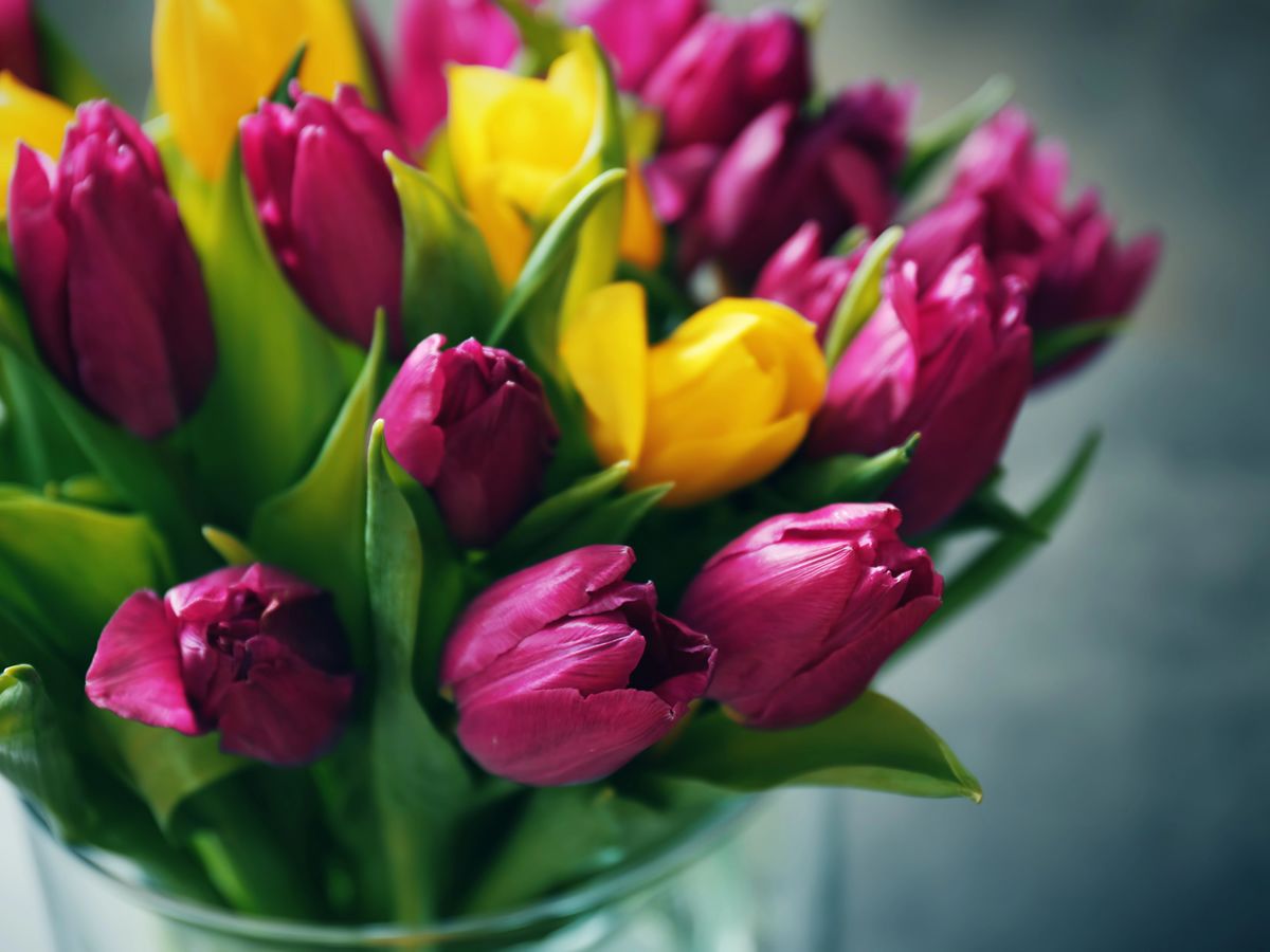 Flower Arranging Workshop and Afternoon Tea