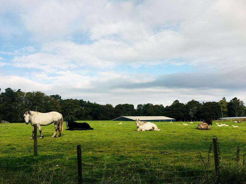 Turlood Equestrian Centre