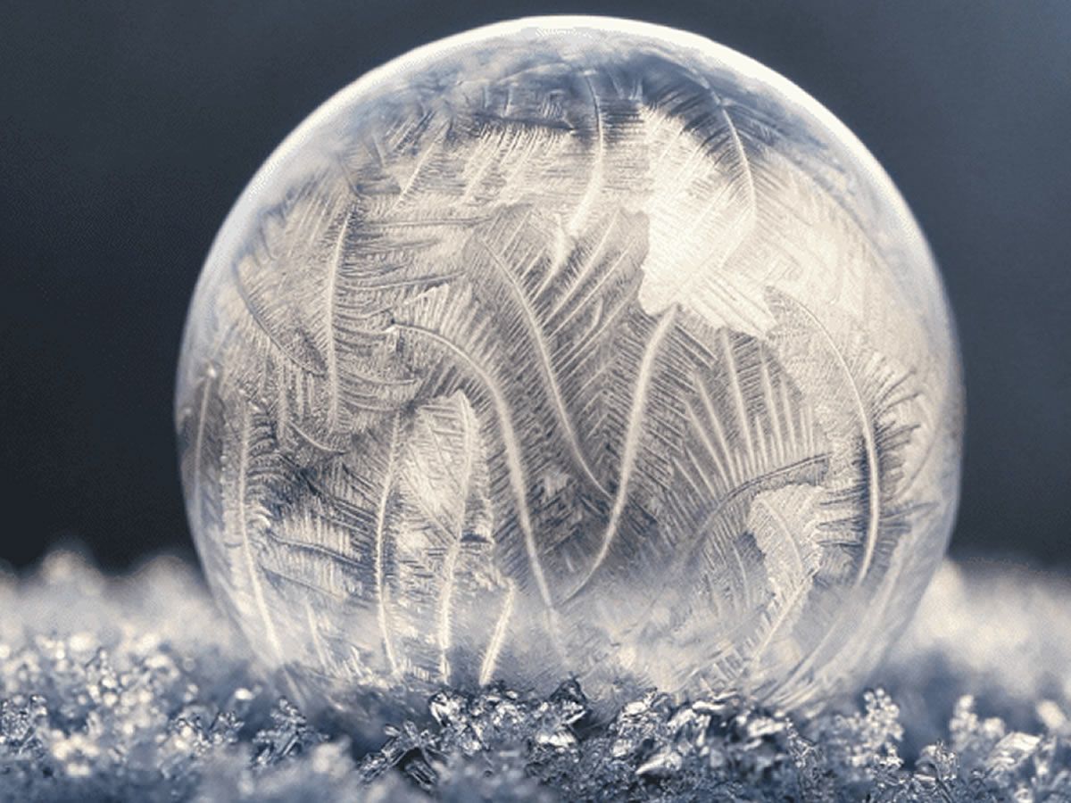 Calton Consort: Midwinter