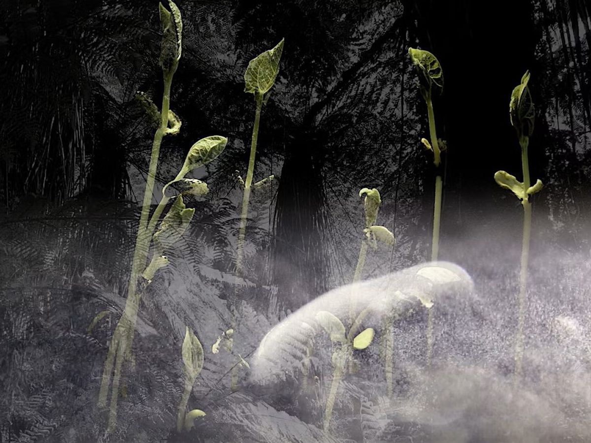 Cosmic Chiasmus: Crossing The Universe - Artist Talk And Cloud Chamber Demo