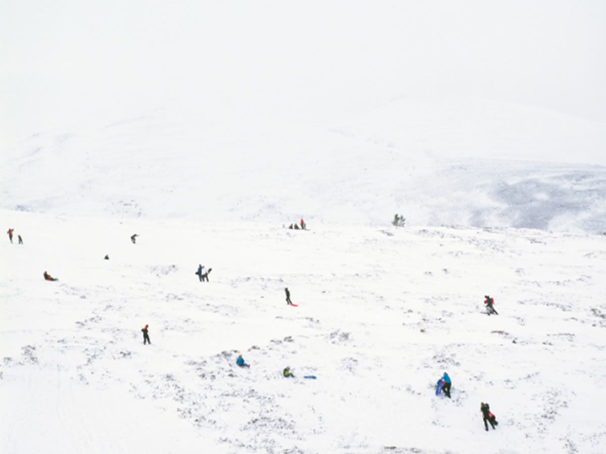 Viewing Rooms: Winter Works