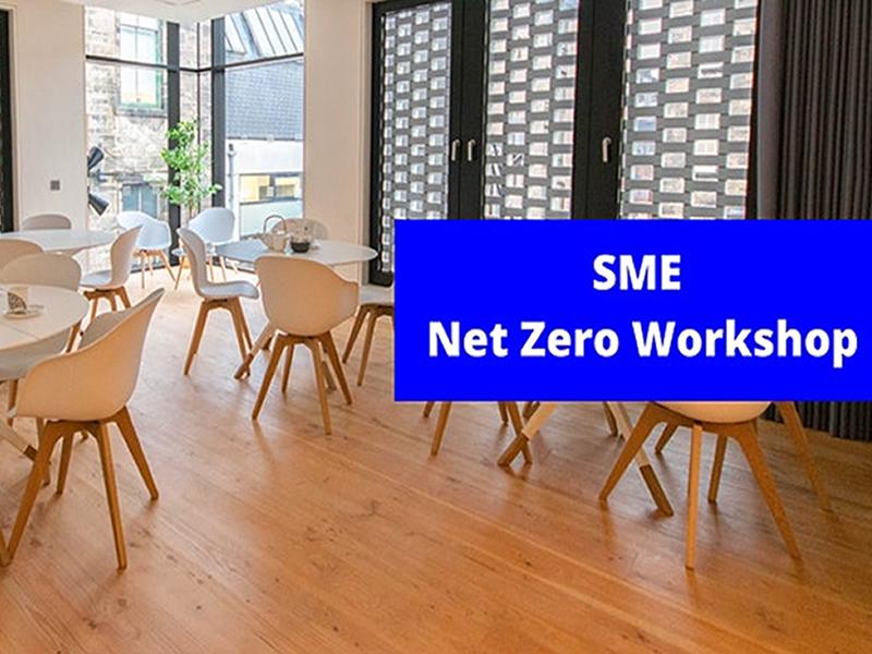 Net Zero For Small Business: How to Reach Net Zero in 6 Months