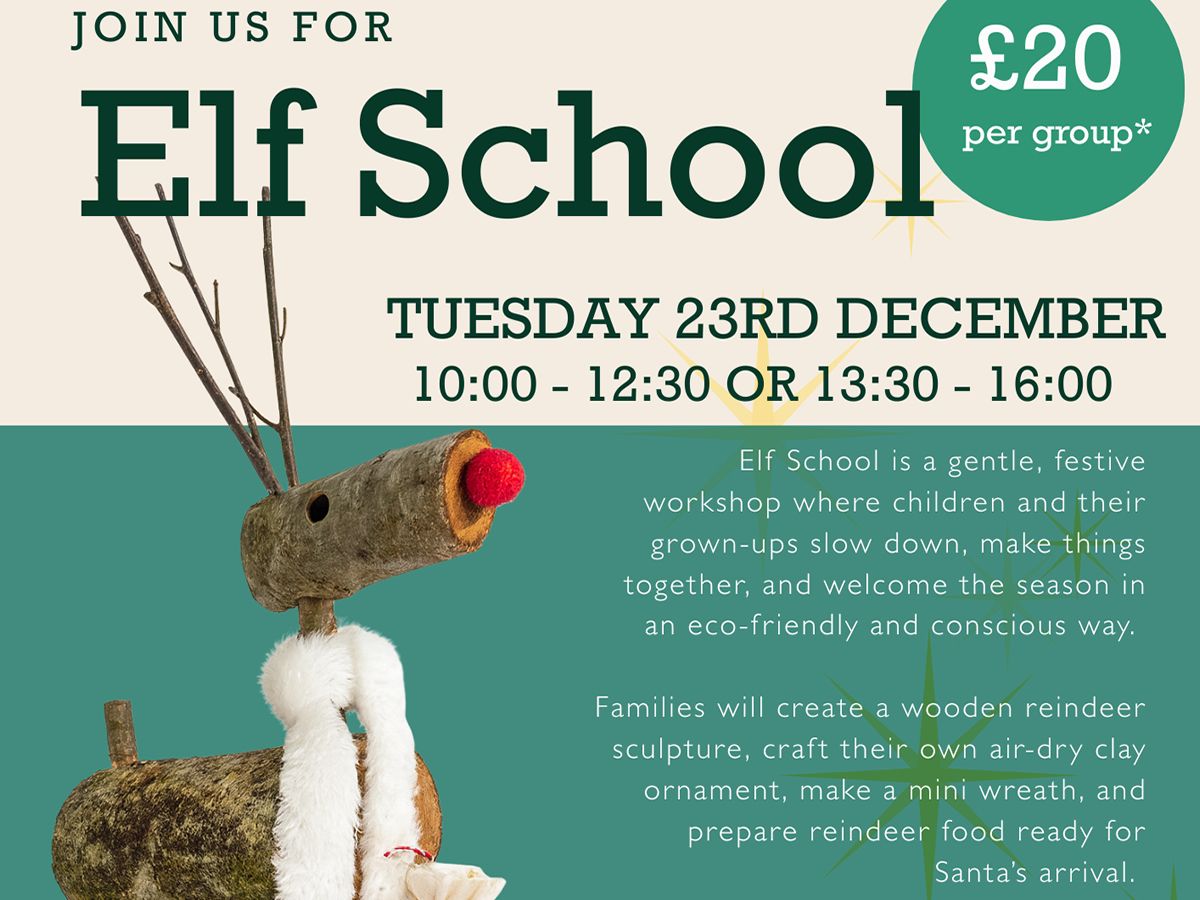 Elf Training School at Falls of Clyde