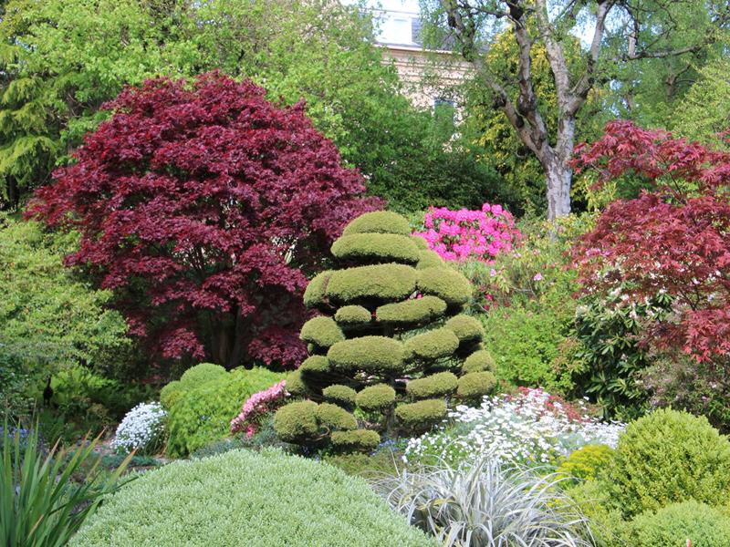 Scotland’s Gardens Scheme Open Garden: Redcroft