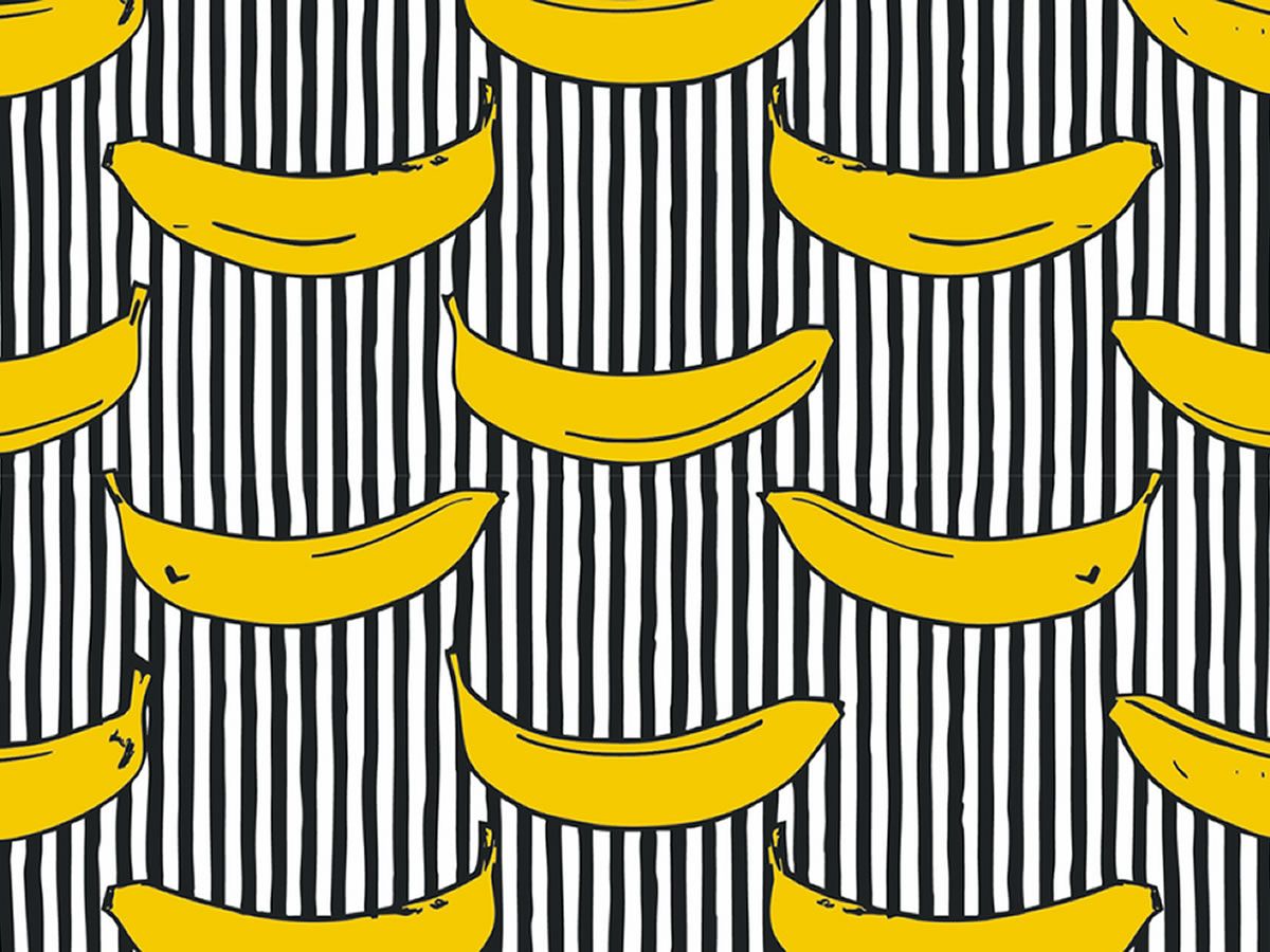 Magical Patterns: Curator Preview Breakfast Tour