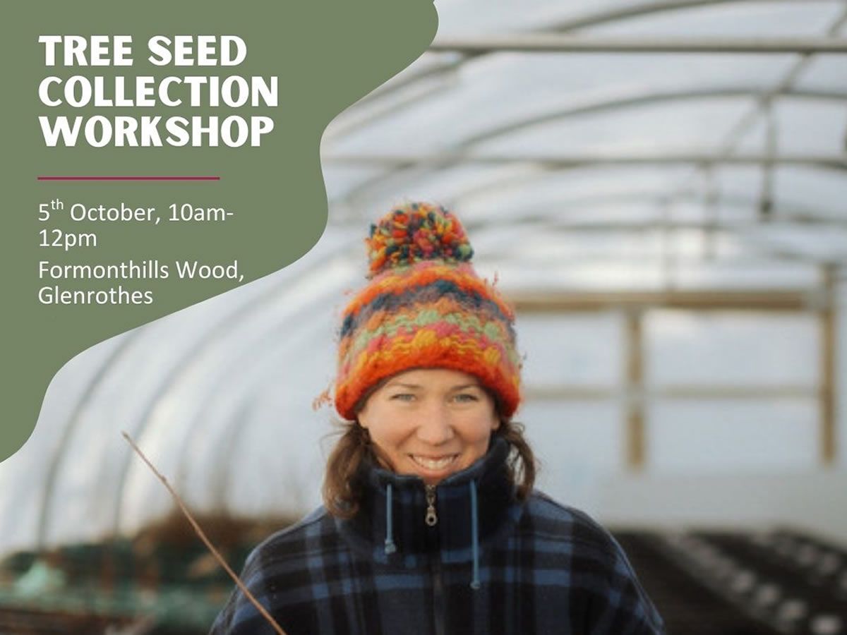 Tree Seed Collection Walk & Talk