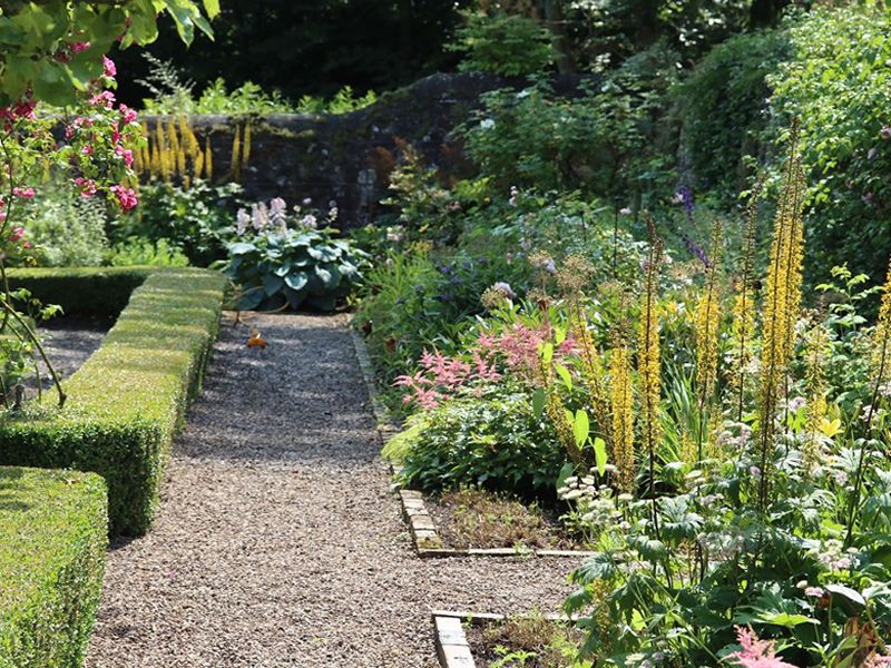 Scotland’s Gardens Scheme Open Garden: Gifford Bank