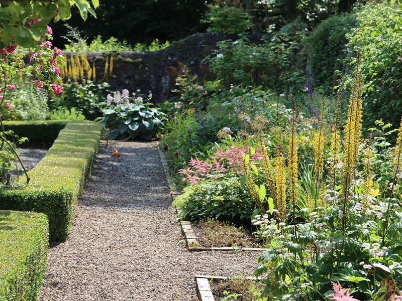 Scotland’s Gardens Scheme Open Garden: Gifford Village, Gifford Bank and Broadwoodside