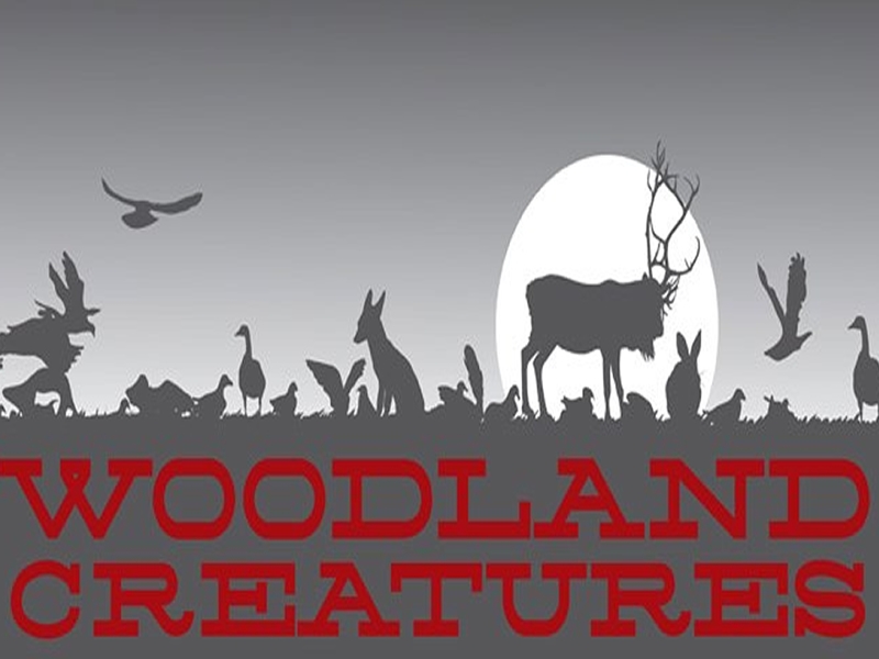 Woodland Creatures