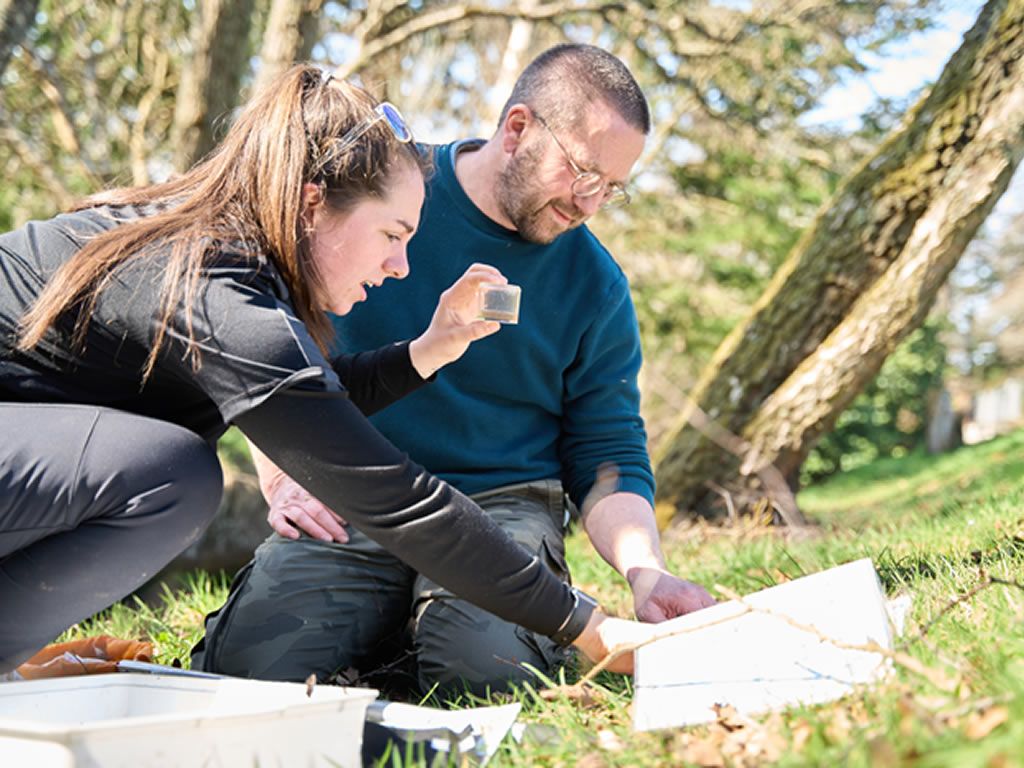 Woodland Activity Leader Training Practical course