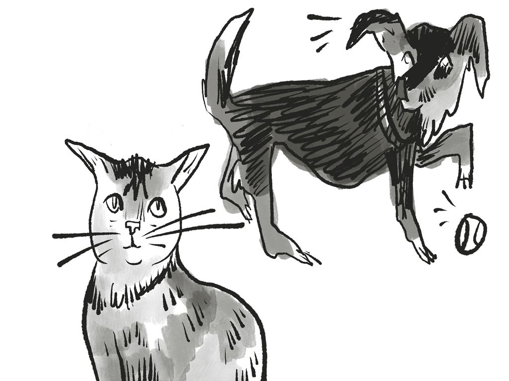 Pet Portrait Class