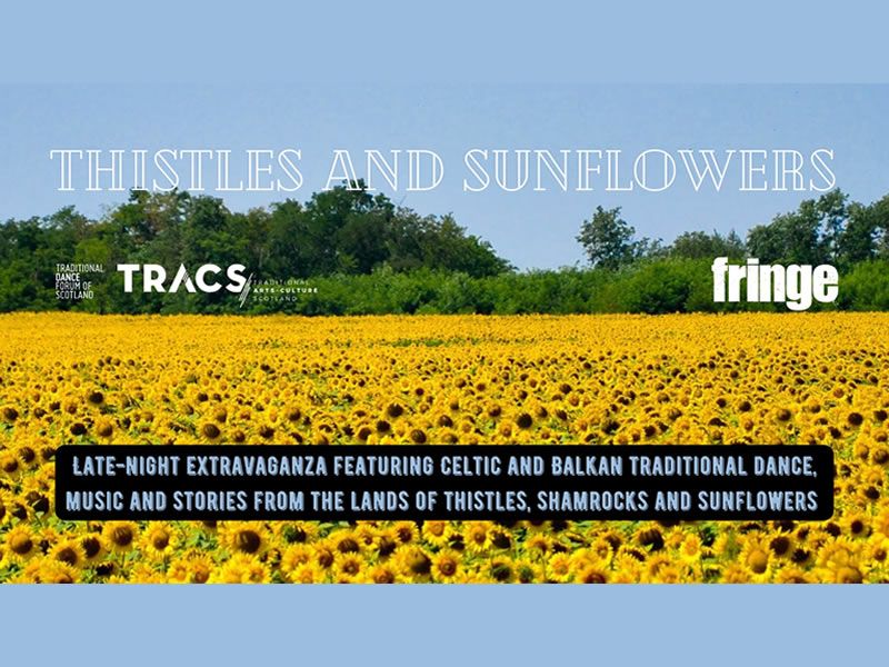Thistles and Sunflowers