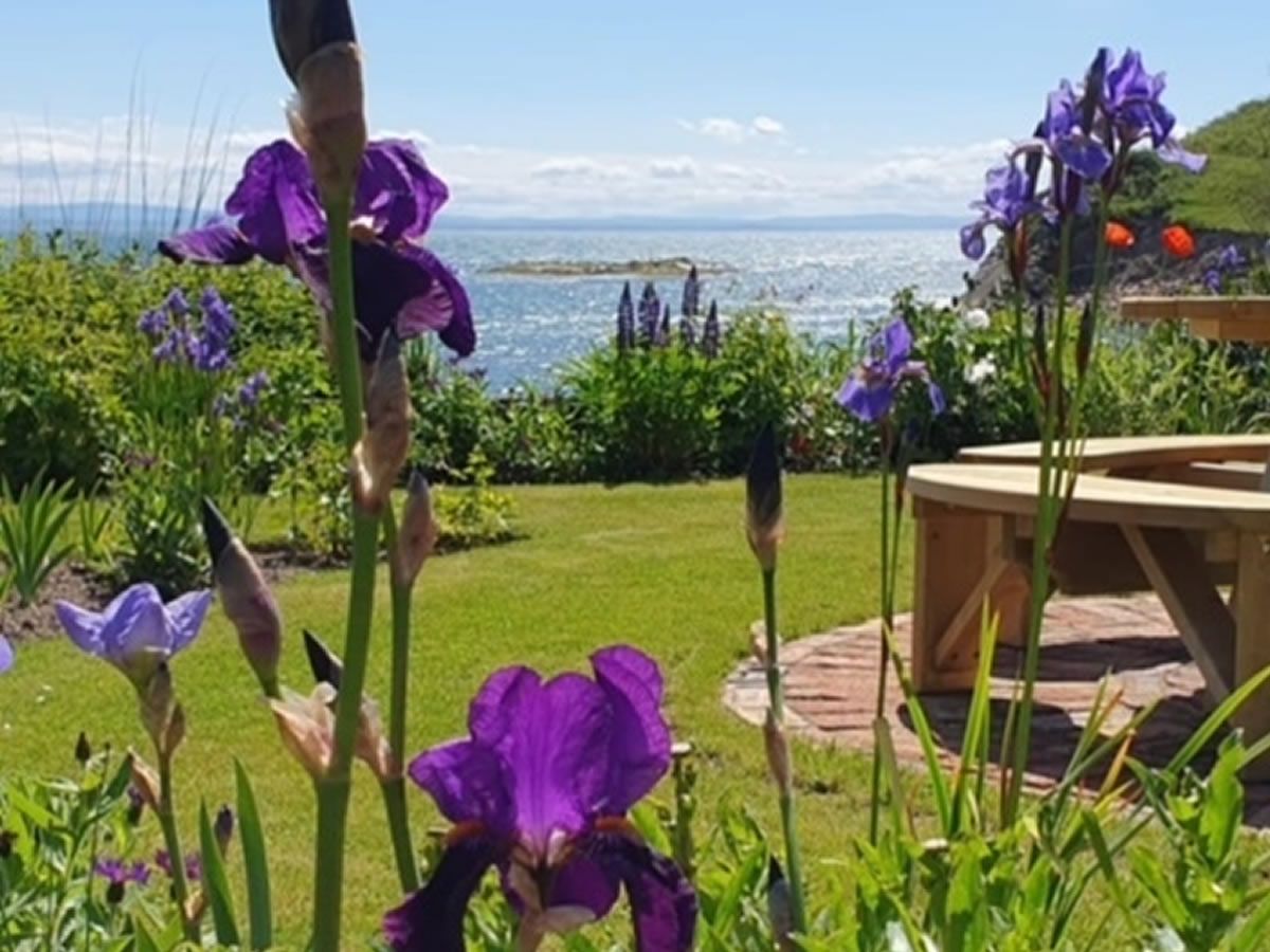 Scotland’s Gardens Scheme Open Garden: Pittenweem: Gardens in the Burgh