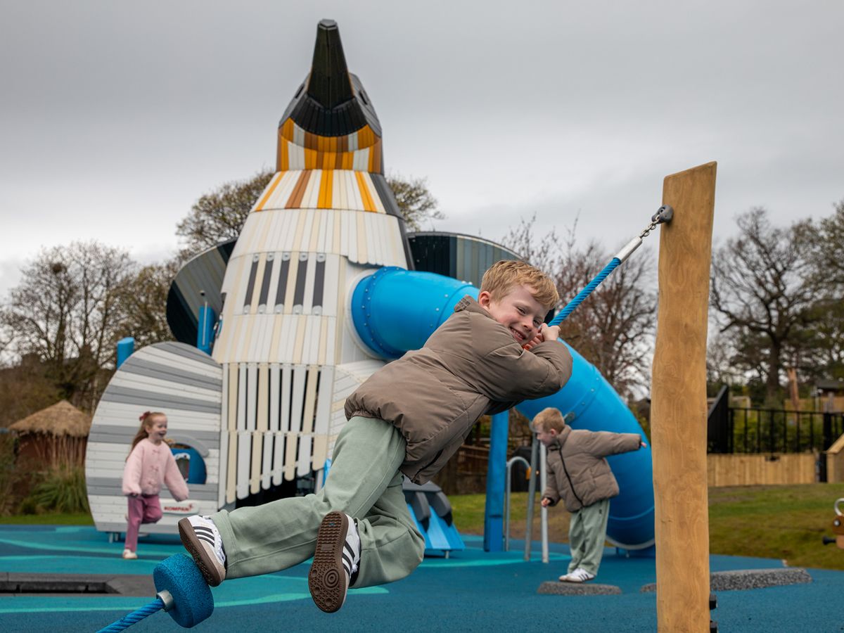 A one of a kind penguin playpark waddles into Edinburgh Zoo