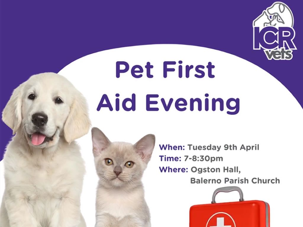Pet First Aid Evening