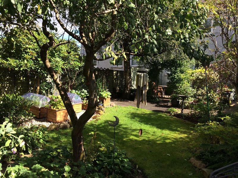 Scotland’s Gardens Scheme Open Garden: The Gardens Of Milton Of Campsie