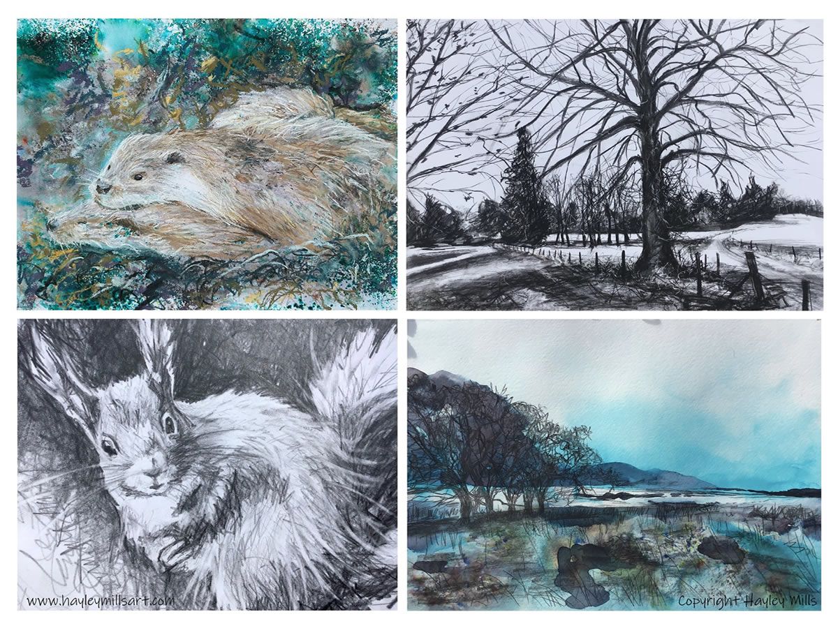 Dynamic Drawing Class with Hayley Mills