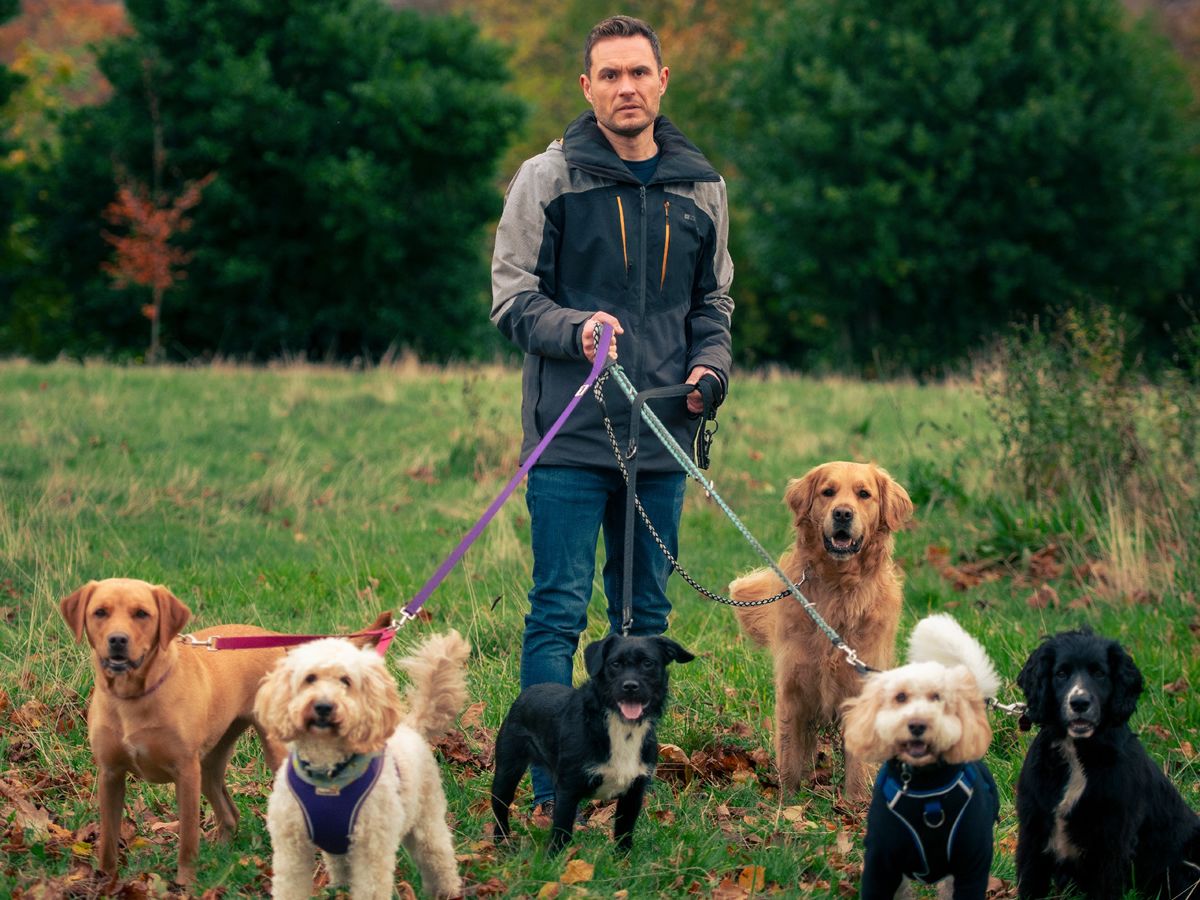 One man show brings all the emotions to the Tron Theatre... as well as dogs!