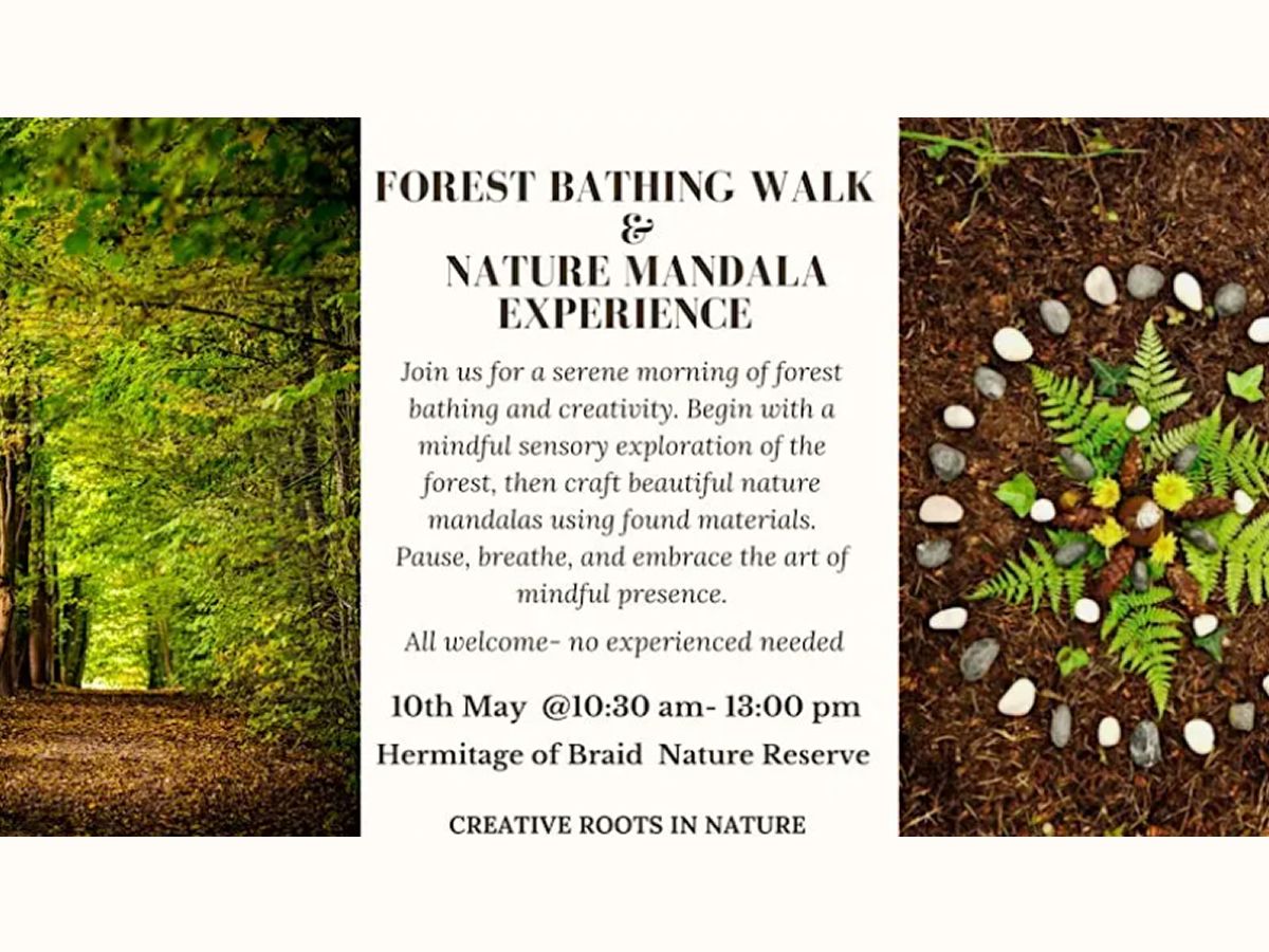 Forest Bathing Walk & Nature Mandala Experience