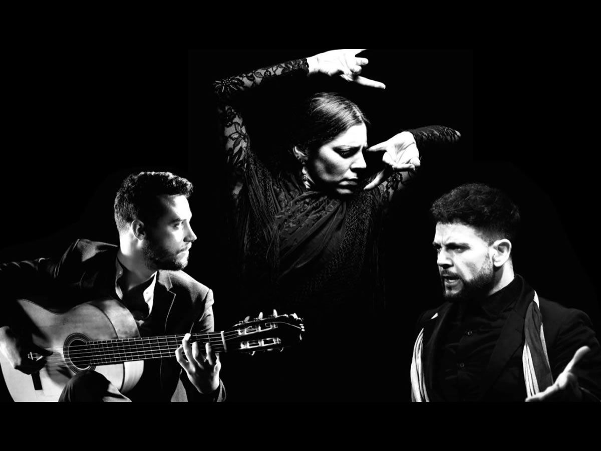Art of Andalucia - Flamenco Dance