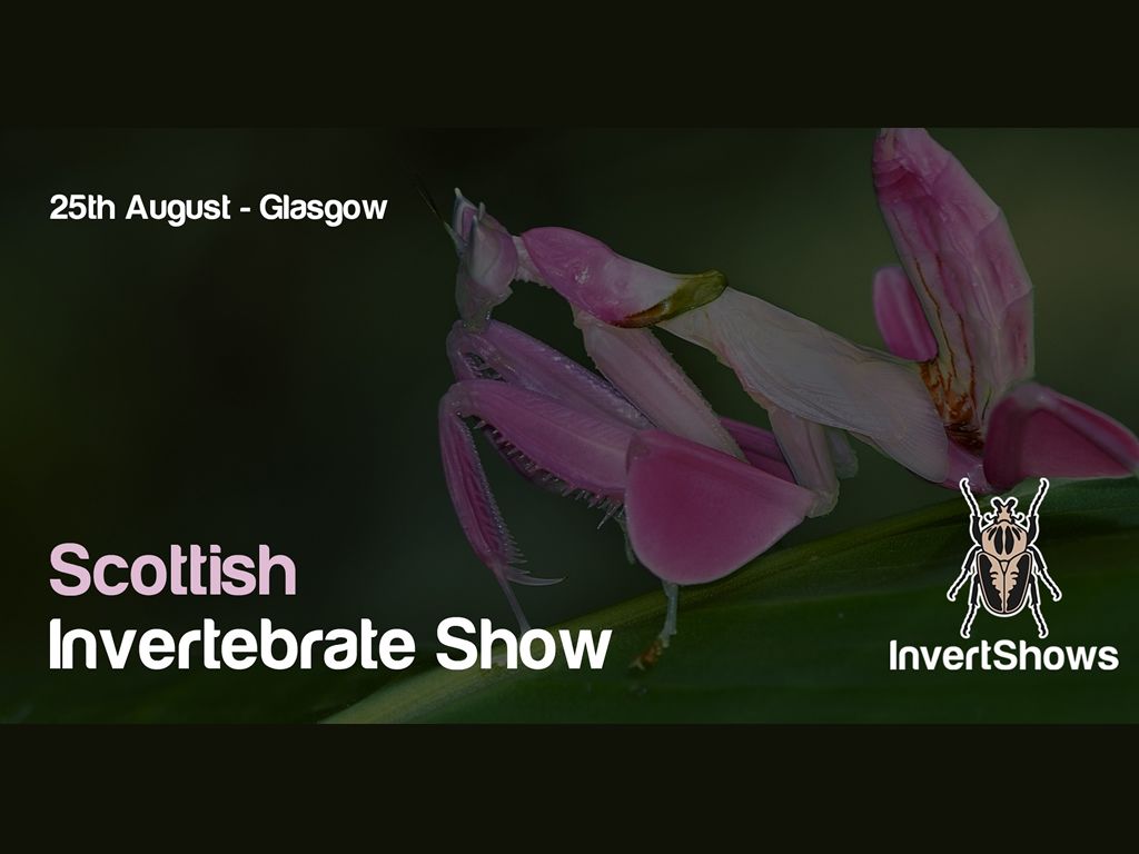Scottish Invertebrate Show