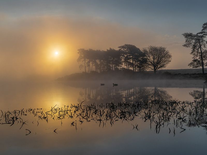 Paisley Photographic Society