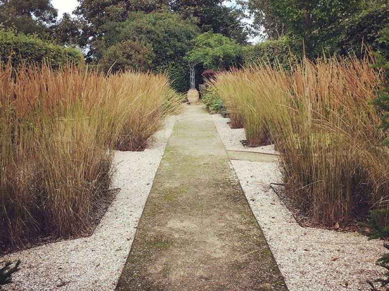 Scotland’s Gardens Scheme Open Garden: Fairnielaw