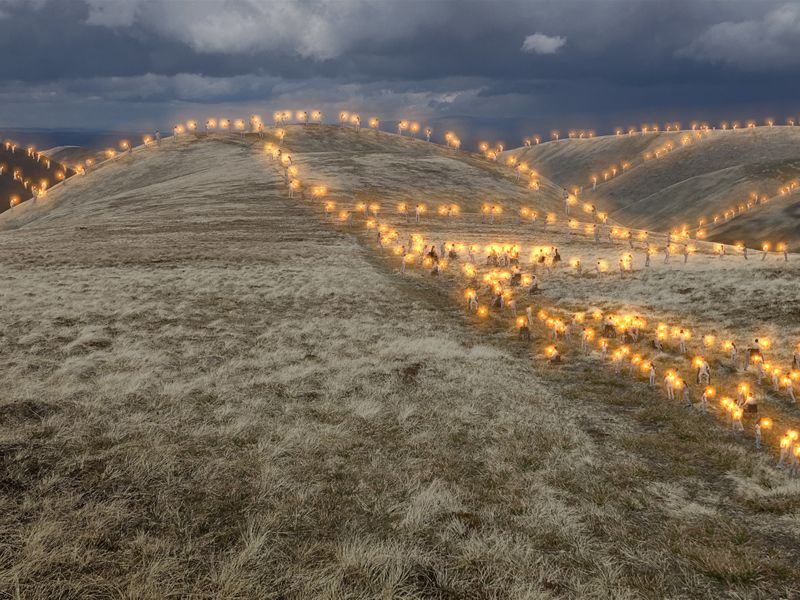 Green Space Dark Skies: The team of artists working with local communities to bring events to life