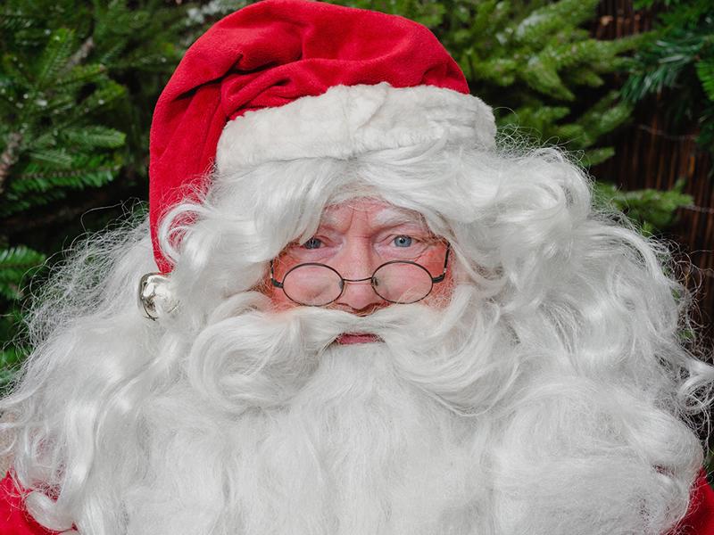 The hunt is on for Santa to work in Dobbies Edinburgh store this Christmas. 