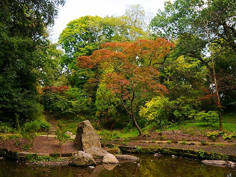 Dalzell Estate