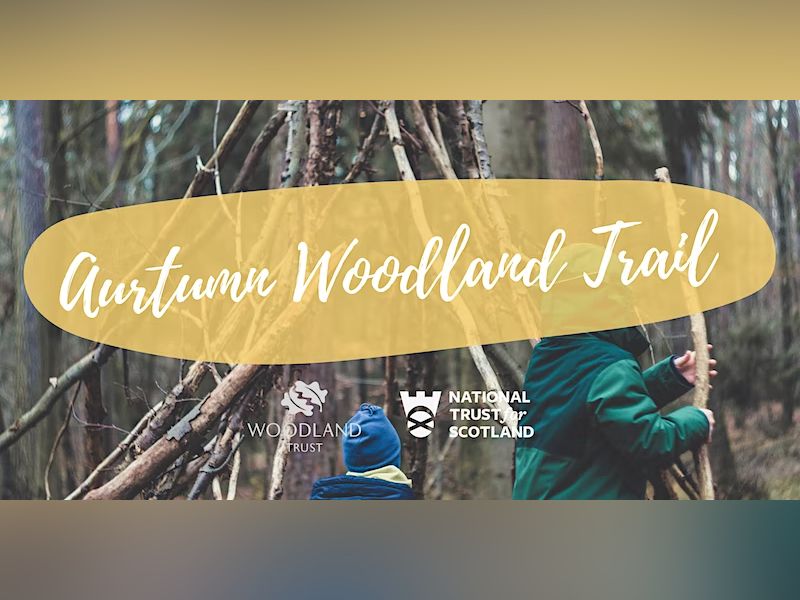 Autumn Woodland Trail at Greenbank
