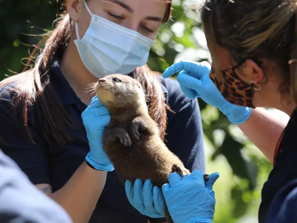 Edinburgh Science Festival: Have Zoo Got What it Takes?