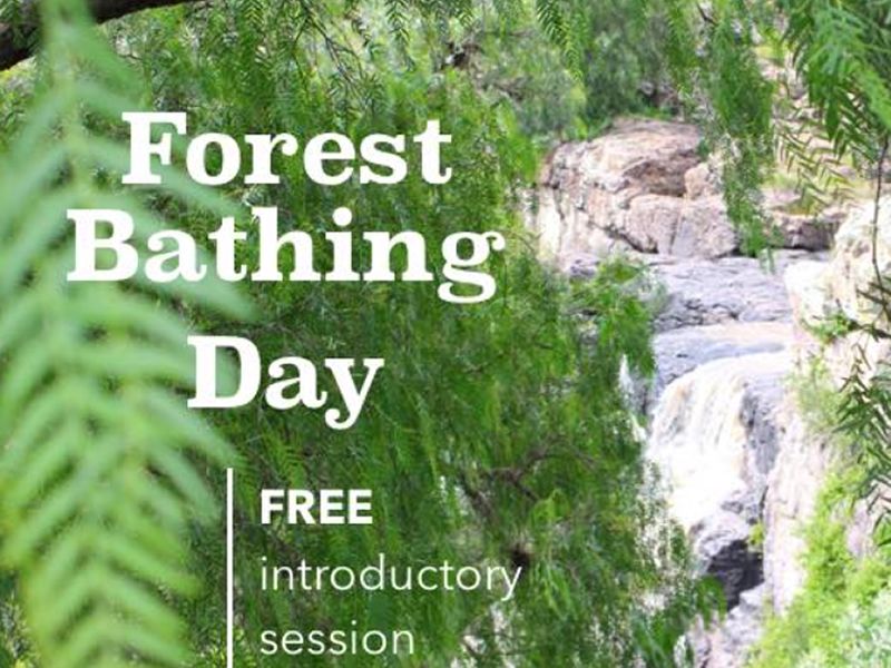 International Forest Bathing Day FREE Forest Bathing Session at Mortonhall Garden Centre