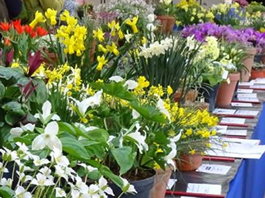 Spring Flower Show and Plant Fair