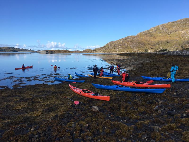 Driftwood Adventure